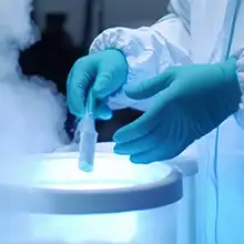 Riverside Defective IVF Embryo Solution